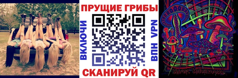 Купить закладки  Нарьян-Мар  Псилоцибиновые грибы GOLDEN TEACHER 